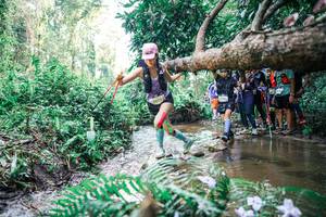 BIB: 
                            <button type="button" onclick="openModal(25471946)" class="btn btn-primary btn-sm float-right btn-popup" data-toggle="modal" data-target=".modal-high-quality">
                        <i class="fas fa-shopping-cart"></i> Add to Cart
                    </button>
                                            <button type="button" onclick="isThisMe(25471946, true)" class="btn btn-success btn-sm float-right btn-popup btn-isme hidden" data-toggle="tooltip" data-placement="bottom" title="นี่คือรูปของคุณใช่ไหม คลิกที่นี่เพื่อเอาเข้าอัลบั้ม">
                        <i class="fas fa-plus"></i> Add to album
                    </button>
                    <button type="button" onclick="isThisMe(25471946, false)" class="btn btn-warning btn-sm float-right btn-popup btn-isnotme hidden">
                        <i class="fas fa-ban"></i> Remove from album
                    </button>